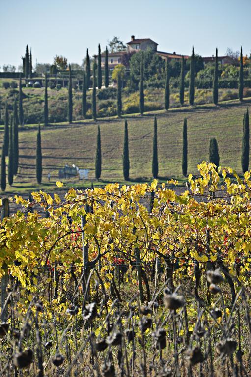 Adalberto - Nella Dimora Di Fulignano San Gimignano Buitenkant foto
