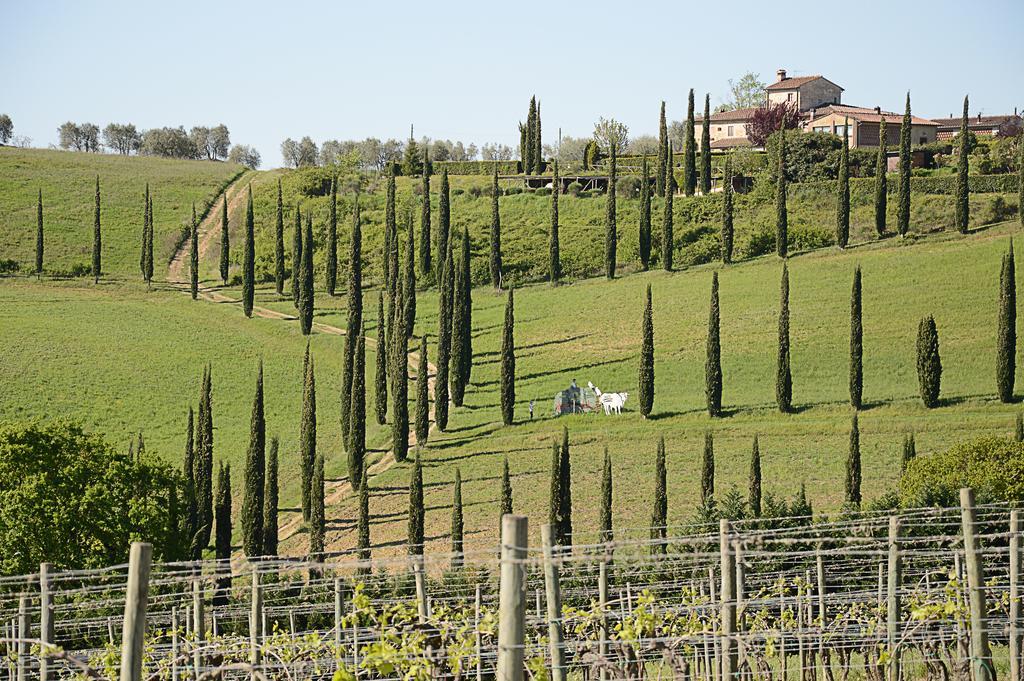 Adalberto - Nella Dimora Di Fulignano San Gimignano Buitenkant foto